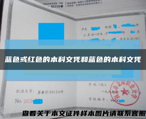 蓝色或红色的本科文凭和蓝色的本科文凭缩略图