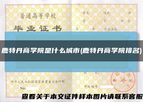 鹿特丹商学院是什么城市(鹿特丹商学院排名)缩略图