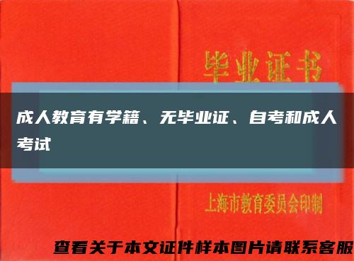 成人教育有学籍、无毕业证、自考和成人考试缩略图