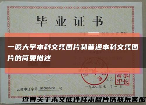 一般大学本科文凭图片和普通本科文凭图片的简要描述缩略图