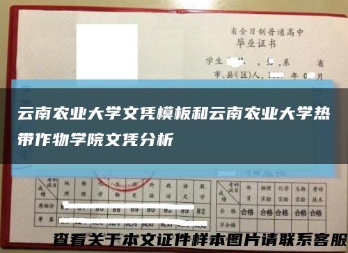 云南农业大学文凭模板和云南农业大学热带作物学院文凭分析缩略图