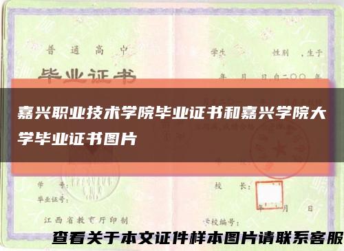嘉兴职业技术学院毕业证书和嘉兴学院大学毕业证书图片缩略图