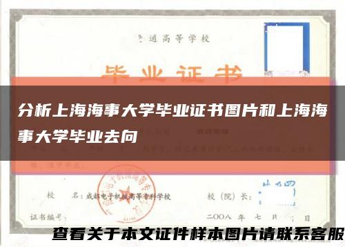 分析上海海事大学毕业证书图片和上海海事大学毕业去向缩略图