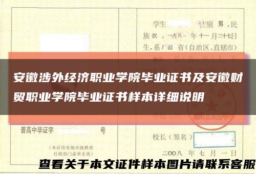 安徽涉外经济职业学院毕业证书及安徽财贸职业学院毕业证书样本详细说明缩略图