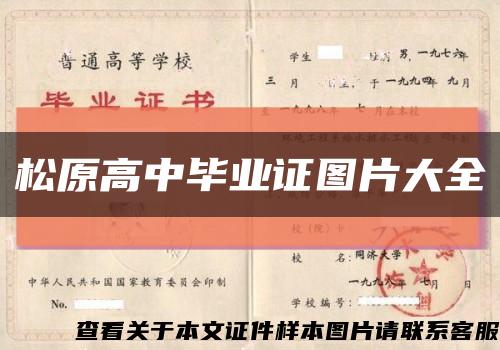 松原高中毕业证图片大全缩略图
