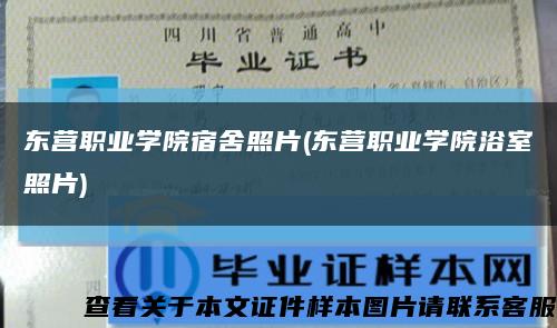 东营职业学院宿舍照片(东营职业学院浴室照片)缩略图