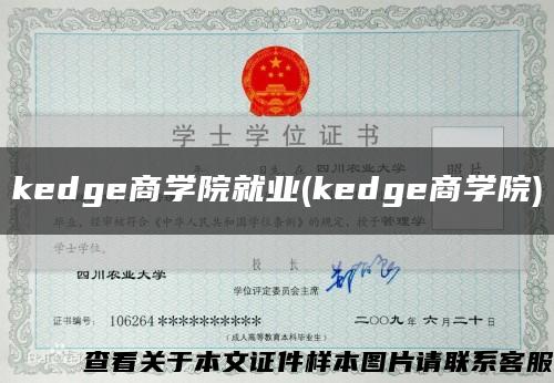 kedge商学院就业(kedge商学院)缩略图