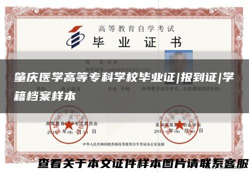 肇庆医学高等专科学校毕业证|报到证|学籍档案样本缩略图