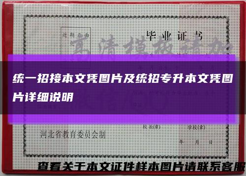 统一招接本文凭图片及统招专升本文凭图片详细说明缩略图