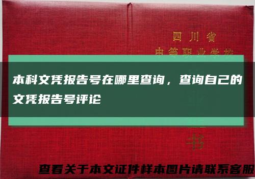 本科文凭报告号在哪里查询，查询自己的文凭报告号评论缩略图