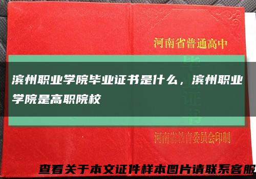滨州职业学院毕业证书是什么，滨州职业学院是高职院校缩略图