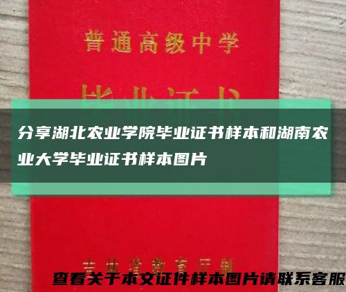 分享湖北农业学院毕业证书样本和湖南农业大学毕业证书样本图片缩略图