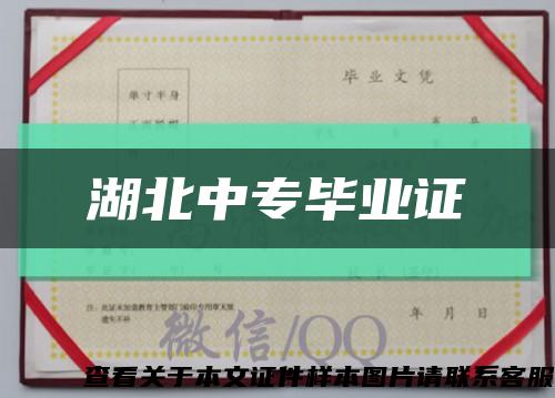湖北中专毕业证缩略图
