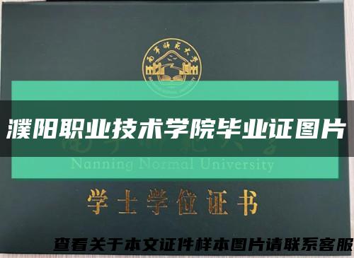 濮阳职业技术学院毕业证图片缩略图