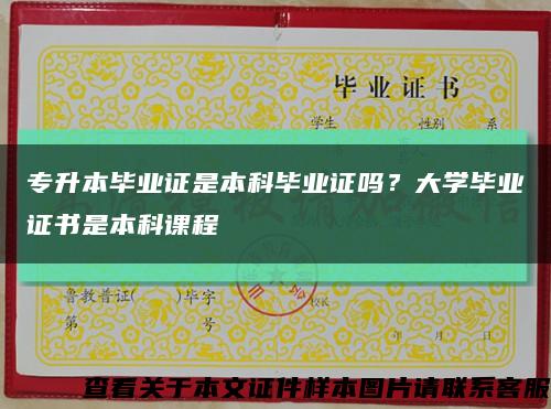 专升本毕业证是本科毕业证吗？大学毕业证书是本科课程缩略图