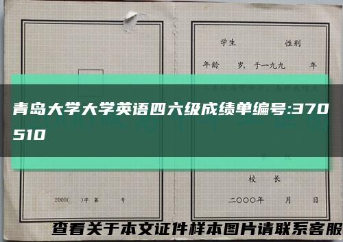 青岛大学大学英语四六级成绩单编号:370510缩略图