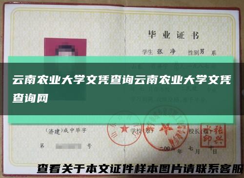 云南农业大学文凭查询云南农业大学文凭查询网缩略图