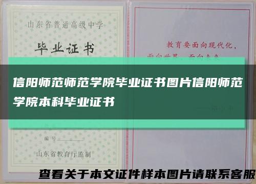 信阳师范师范学院毕业证书图片信阳师范学院本科毕业证书缩略图