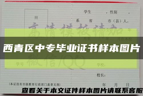 西青区中专毕业证书样本图片缩略图