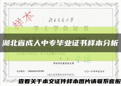 湖北省成人中专毕业证书样本分析缩略图
