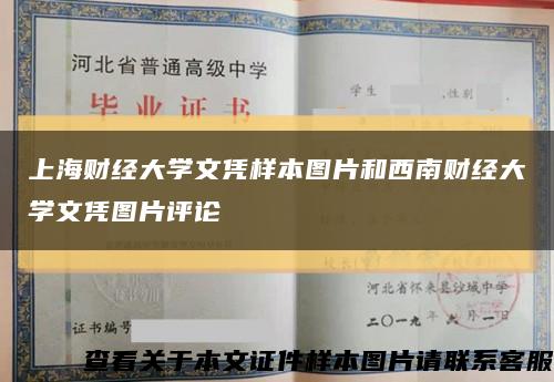 上海财经大学文凭样本图片和西南财经大学文凭图片评论缩略图