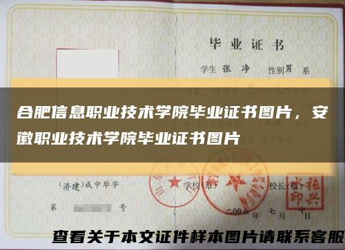 合肥信息职业技术学院毕业证书图片，安徽职业技术学院毕业证书图片缩略图