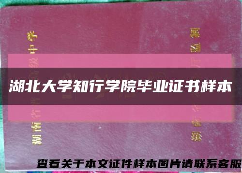湖北大学知行学院毕业证书样本缩略图