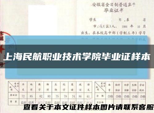 上海民航职业技术学院毕业证样本缩略图