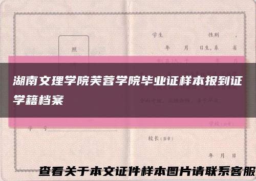 湖南文理学院芙蓉学院毕业证样本报到证学籍档案缩略图