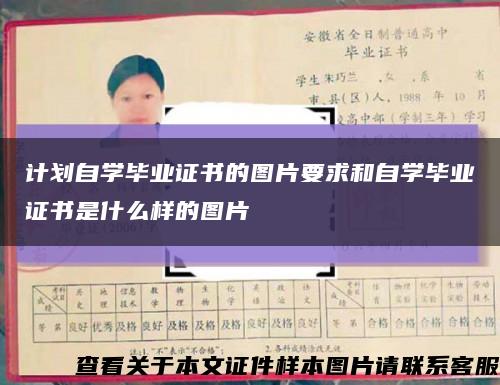 计划自学毕业证书的图片要求和自学毕业证书是什么样的图片缩略图