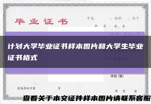 计划大学毕业证书样本图片和大学生毕业证书格式缩略图
