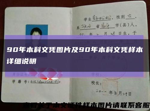 90年本科文凭图片及90年本科文凭样本详细说明缩略图