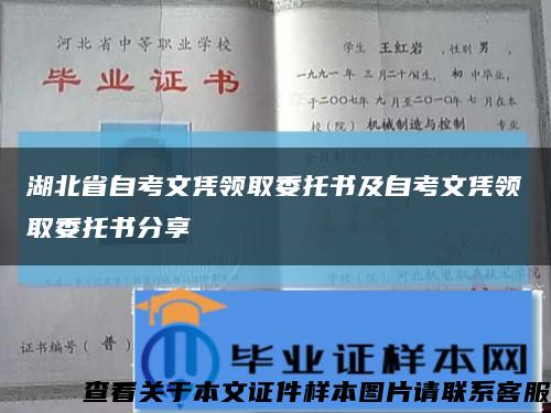 湖北省自考文凭领取委托书及自考文凭领取委托书分享缩略图