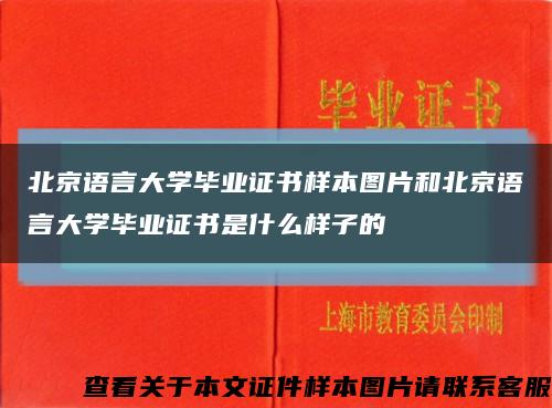 北京语言大学毕业证书样本图片和北京语言大学毕业证书是什么样子的缩略图