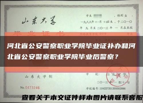 河北省公安警察职业学院毕业证补办和河北省公安警察职业学院毕业后警察？缩略图