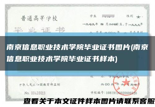 南京信息职业技术学院毕业证书图片(南京信息职业技术学院毕业证书样本)缩略图
