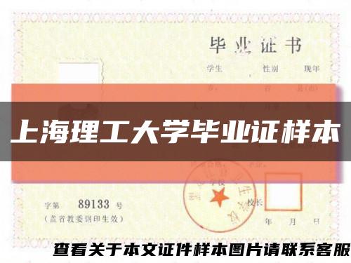 上海理工大学毕业证样本缩略图