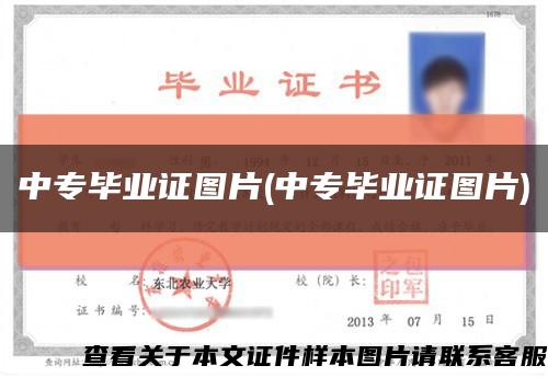 中专毕业证图片(中专毕业证图片)缩略图