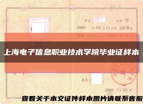 上海电子信息职业技术学院毕业证样本缩略图