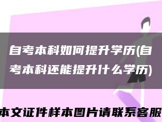 自考本科如何提升学历(自考本科还能提升什么学历)缩略图