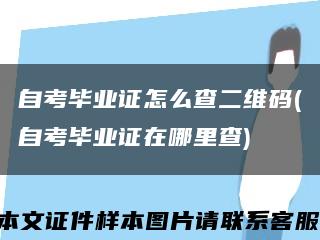 自考毕业证怎么查二维码(自考毕业证在哪里查)缩略图