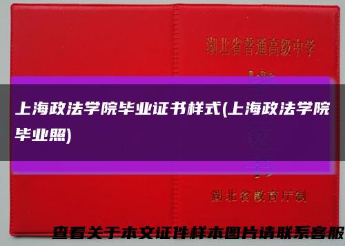 上海政法学院毕业证书样式(上海政法学院毕业照)缩略图