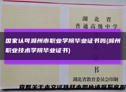 国家认可滁州市职业学院毕业证书吗(滁州职业技术学院毕业证书)缩略图