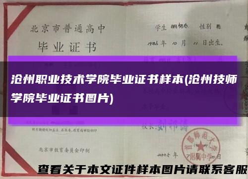 沧州职业技术学院毕业证书样本(沧州技师学院毕业证书图片)缩略图
