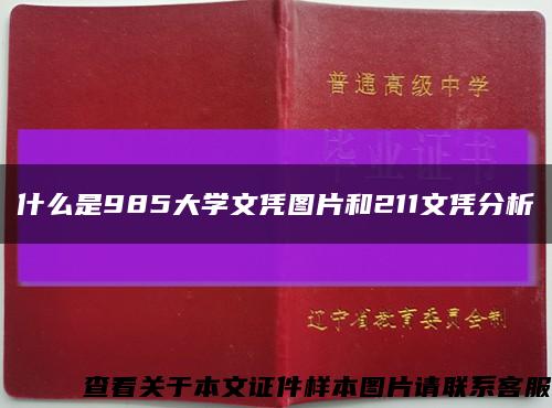 什么是985大学文凭图片和211文凭分析缩略图