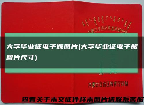 大学毕业证电子版图片(大学毕业证电子版图片尺寸)缩略图
