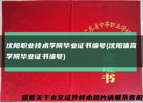 沈阳职业技术学院毕业证书编号(沈阳体育学院毕业证书编号)缩略图