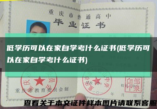 低学历可以在家自学考什么证书(低学历可以在家自学考什么证书)缩略图