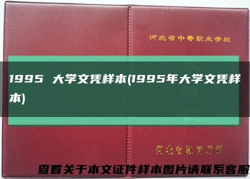 1995 大学文凭样本(1995年大学文凭样本)缩略图