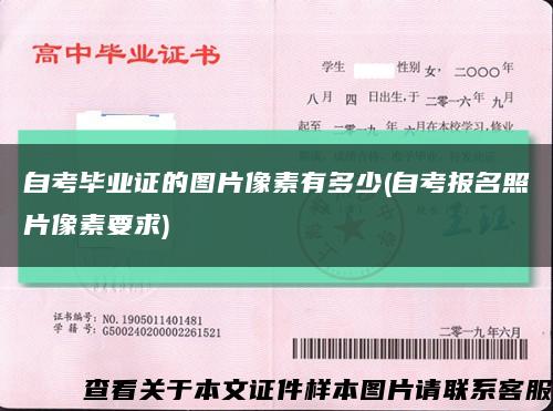 自考毕业证的图片像素有多少(自考报名照片像素要求)缩略图